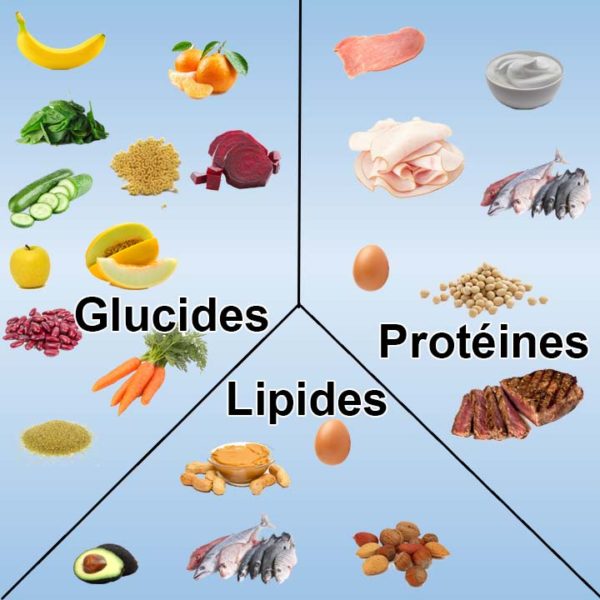 Alimentation pour perdre du poids. 